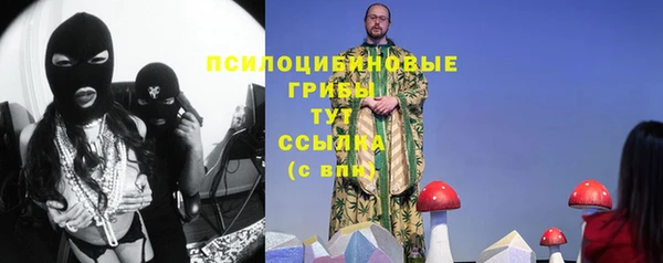 метамфетамин Алексеевка