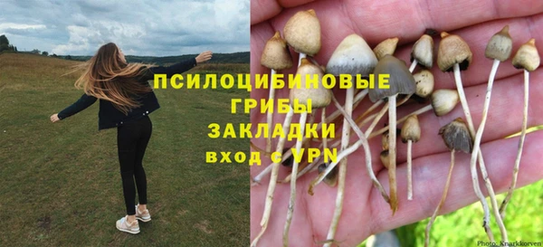 метамфетамин Алексеевка
